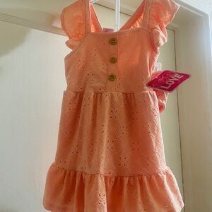 NWT 12M Peach Dress with Bloomers